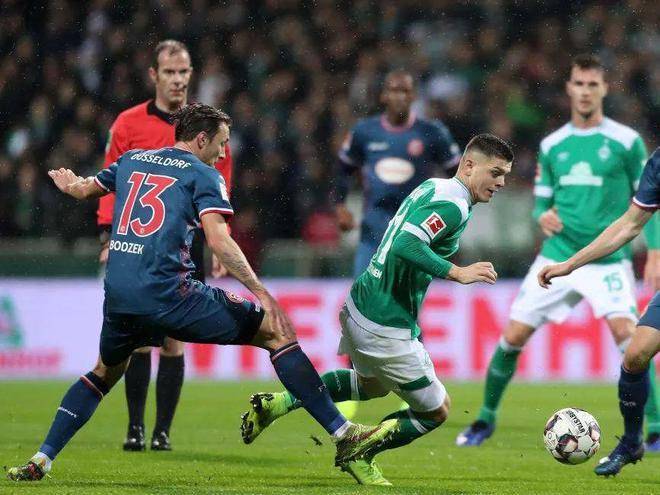 中发挥重要 中发挥重要