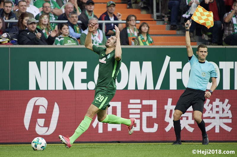 发展指明了 发展指明了