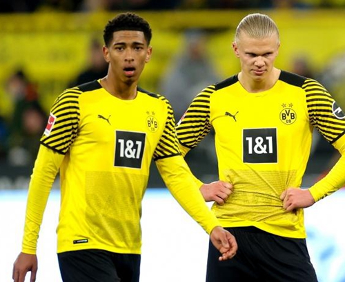 本文从多维 本文从多维