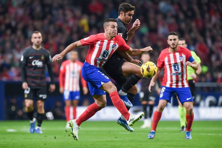 反馈推动赛